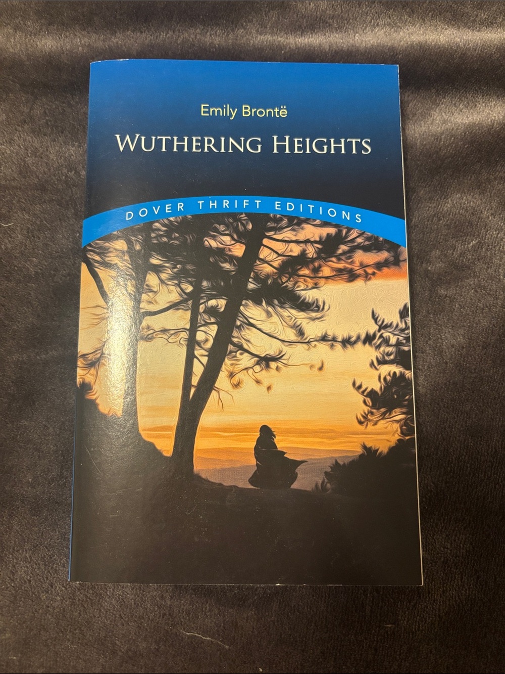 emily brontes wuthering heights